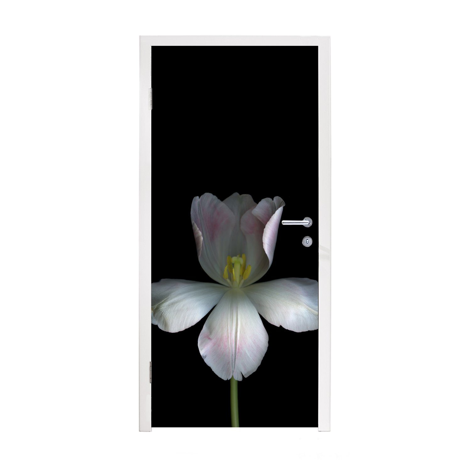 MuchoWow Türtapete Weiße Tulpen auf schwarzem Hintergrund, Matt, bedruckt, (1 St), Fototapete für Tür, Türaufkleber, 75x205 cm