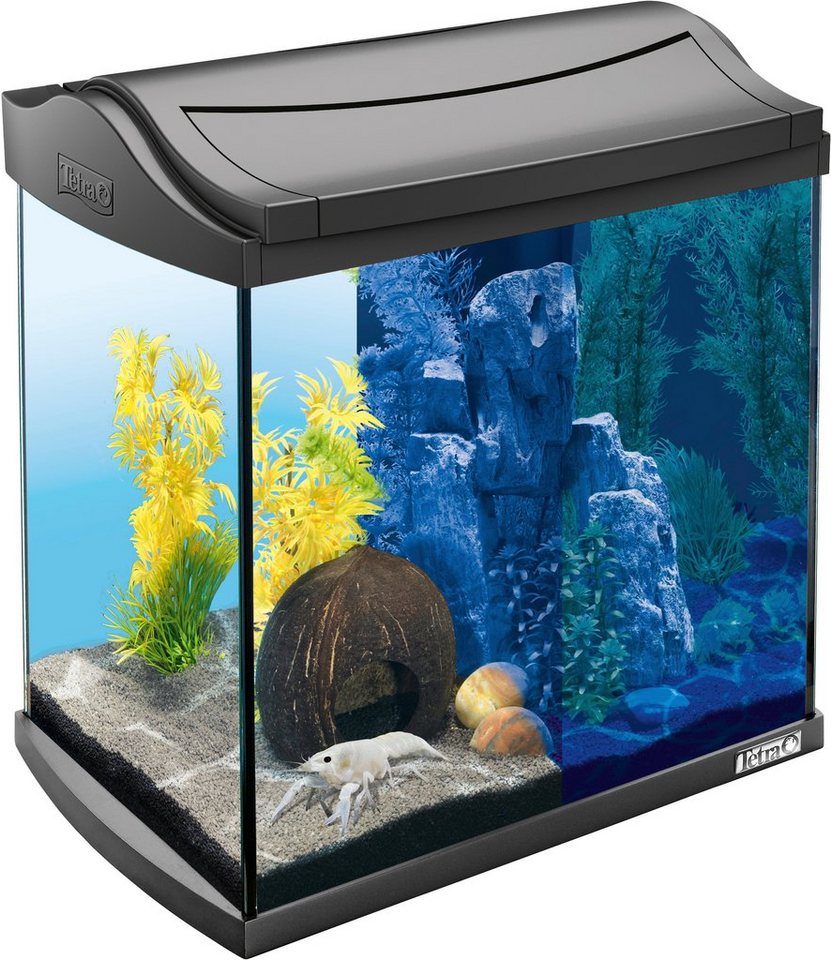 Tetra Aquarium AquaArt LED Discovery Line, BxTxH: 39,5x28x43 cm, 30 l,  Ideale Lebensbedingungen für Krebse und Pflanzen