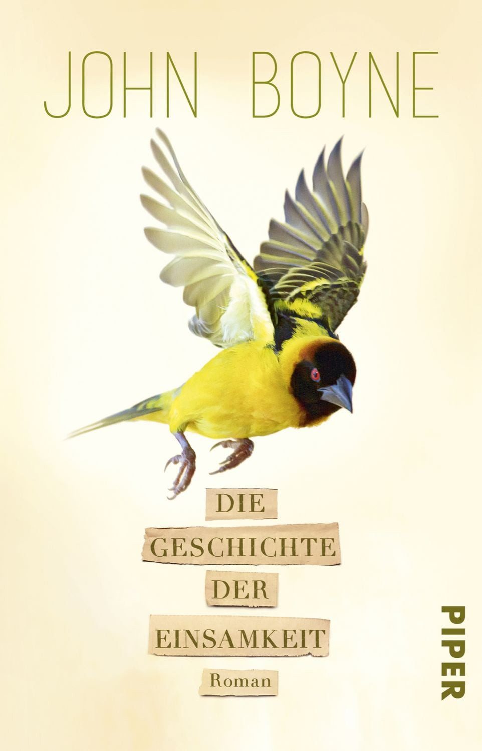 Die Geschichte der Einsamkeit / John Boyne