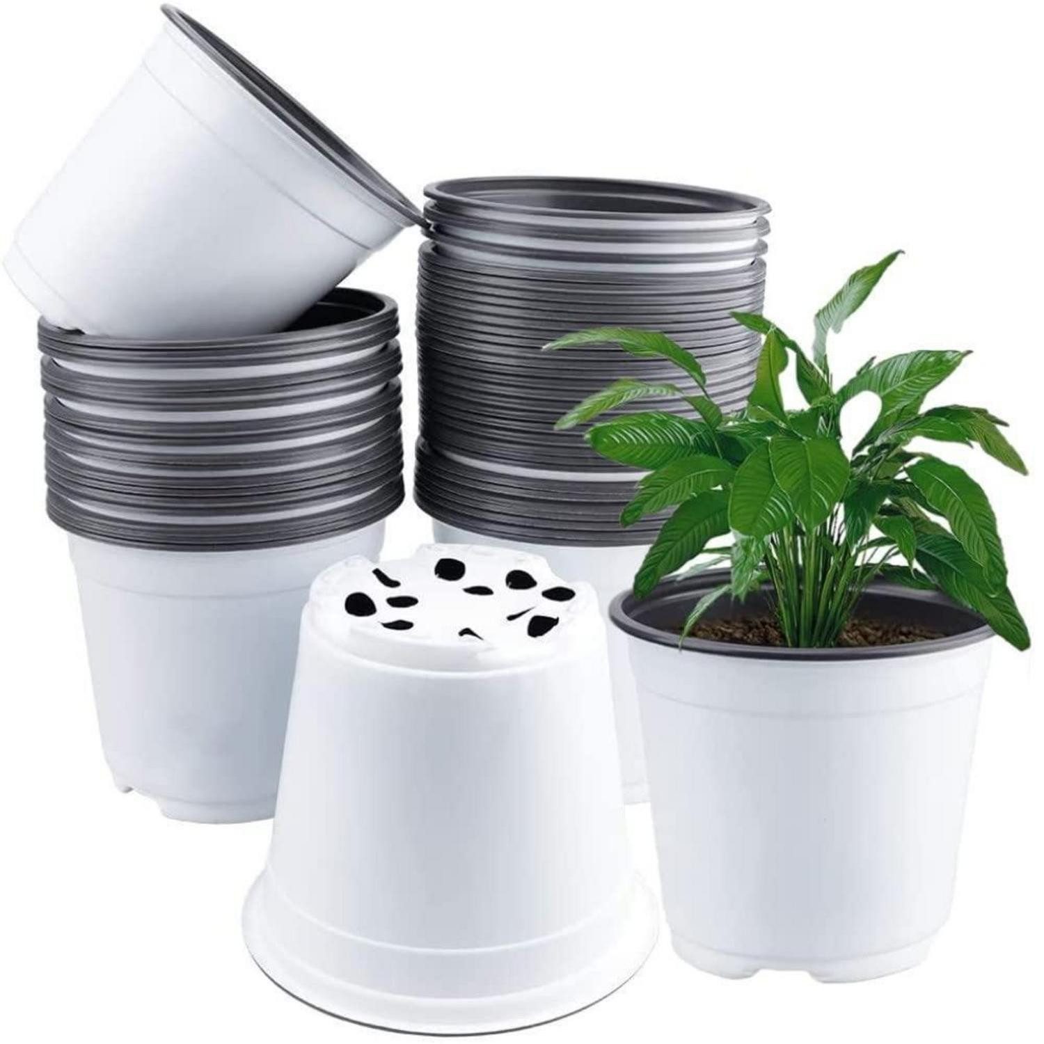 LuxusKollektion Anzuchttopf Blumentopf Kunststoff 15cm 50er Set (50 St)