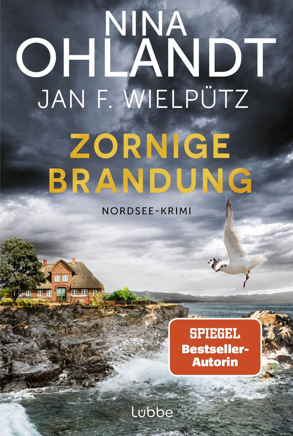 Zornige Brandung / Nina Ohlandt, Jan F. Wielpütz