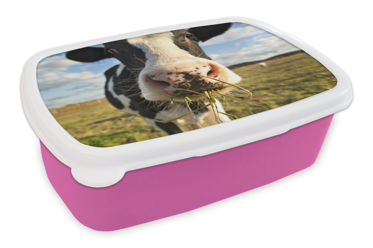 Kinder, - Bauernhof Brotdose Erwachsene, Kunststoff Gras, - rosa Brotbox Mädchen, Lunchbox Kunststoff, (2-tlg), Kühe MuchoWow Snackbox, für