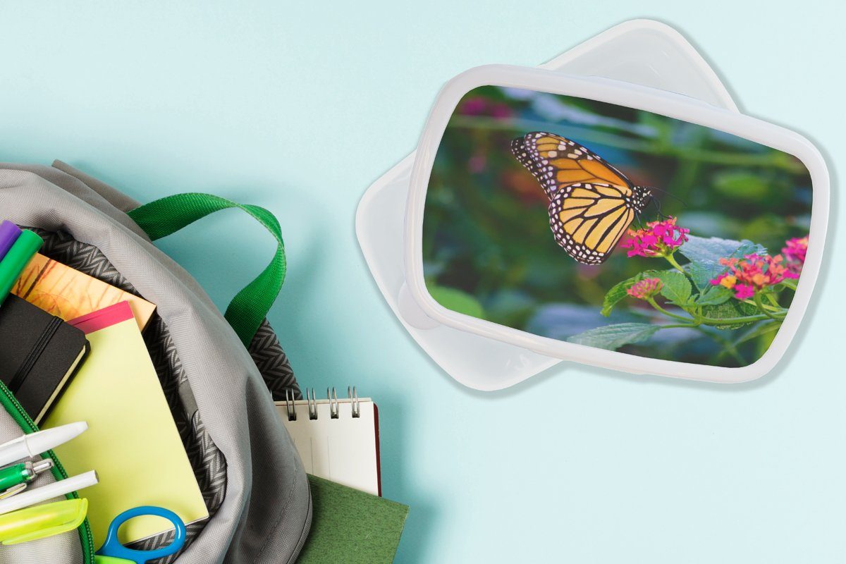 und Erwachsene, weiß Blume - Brotbox Schmetterlinge Lunchbox Kinder und Jungs Mädchen für (2-tlg), Natur, MuchoWow Kunststoff, - für Brotdose,