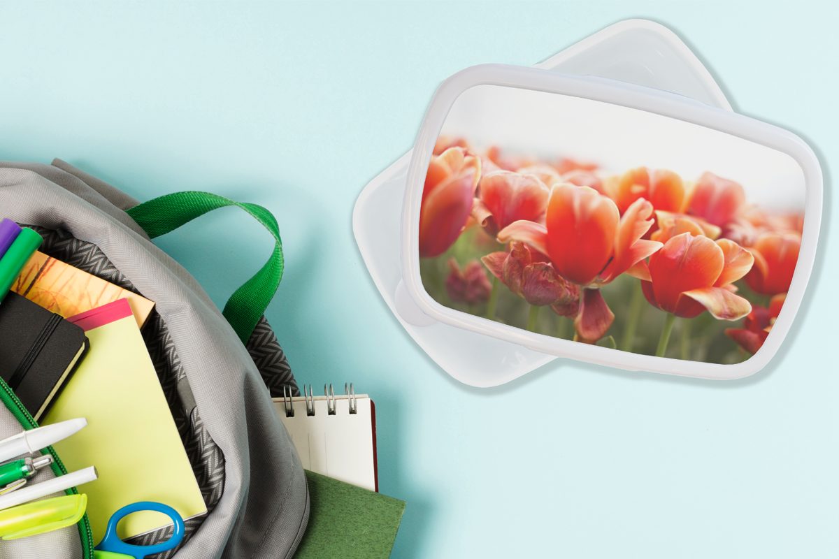 MuchoWow Lunchbox und (2-tlg), für Kinder Jungs Erwachsene, Blätter für Kunststoff, Brotdose, roten weiß der Mädchen und Brotbox Bild Tulpen, von