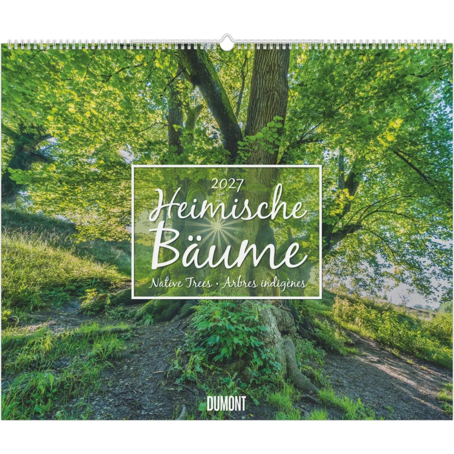 Wandkalender Heimische Bäume 2027