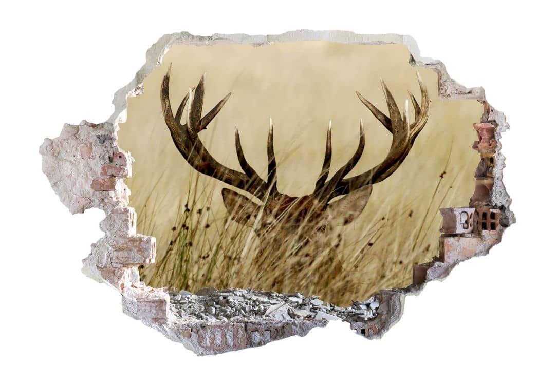 K&L Wall Art Wandtattoo 3D Wandtattoo Waldtiere Geweih Wachsamer Hirsch sepia Wald Wiese, Mauerdurchbruch Wandbild selbstklebend