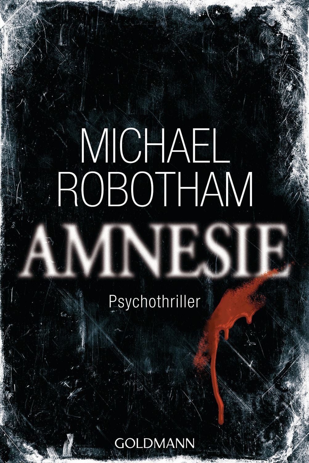 Belletristik Amnesie / Joe O'Loughlin & Vincent Ruiz Band 2 Psychothriller Michael Robotham