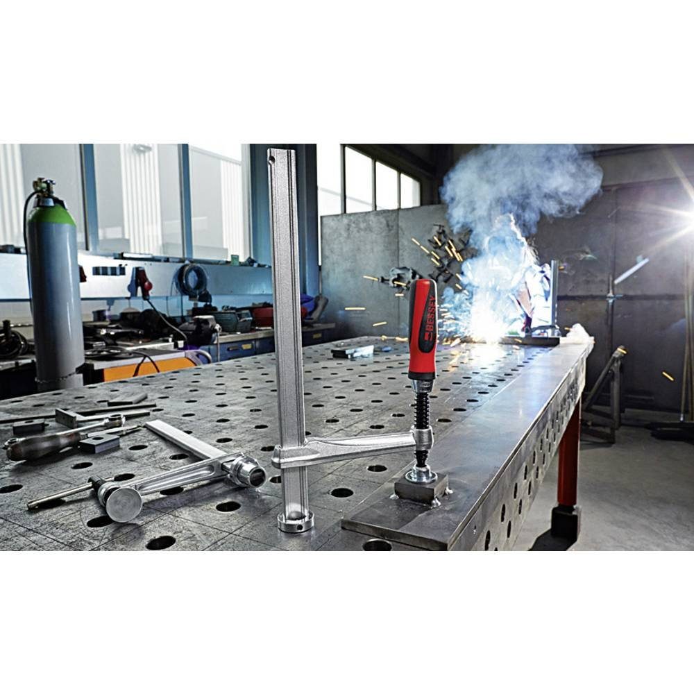 Bessey Schraubzwinge Spannelement für TW16-2K TW16-20-10-2K