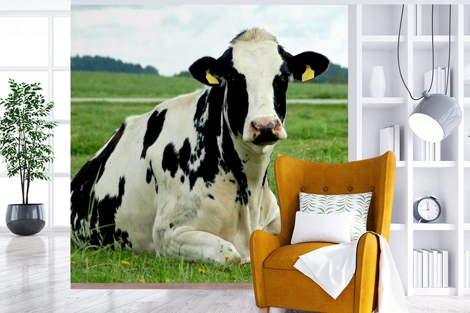 Kuh Tapete bedruckt, Wohnzimmer Tier Fototapete MuchoWow - Friesland, Schlafzimmer, Wandtapete für Matt, (5 - oder St), Vinyl