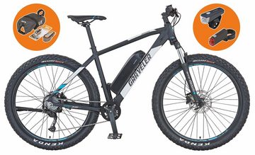 Prophete E-Bike Graveler e9400, 8 Gang Shimano, Kettenschaltung, Heckmotor, 374 Wh Akku, (mit Beleuchtungsset, mit Fahrradtasche, mit Pannenset, mit Werkzeug)