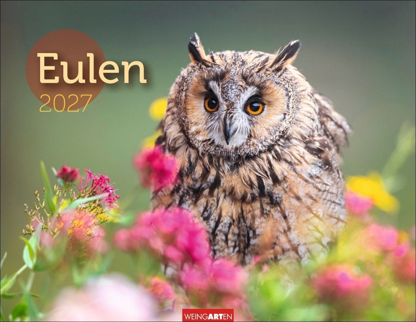 Tierkalender Eulen Kalender 2027