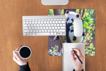 MuchoWow Gaming Mauspad Pandas - Baum - Natur (1-St), Mousepad mit Rutschfester Unterseite, Gaming, 40x40 cm, XXL, Großes