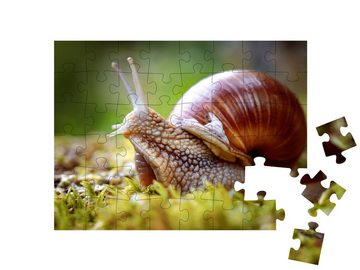 puzzleYOU Puzzle Helix pomatia, auch bekannt als Weinbergschnecke, 48 Puzzleteile, puzzleYOU-Kollektionen Schnecken, Insekten & Kleintiere