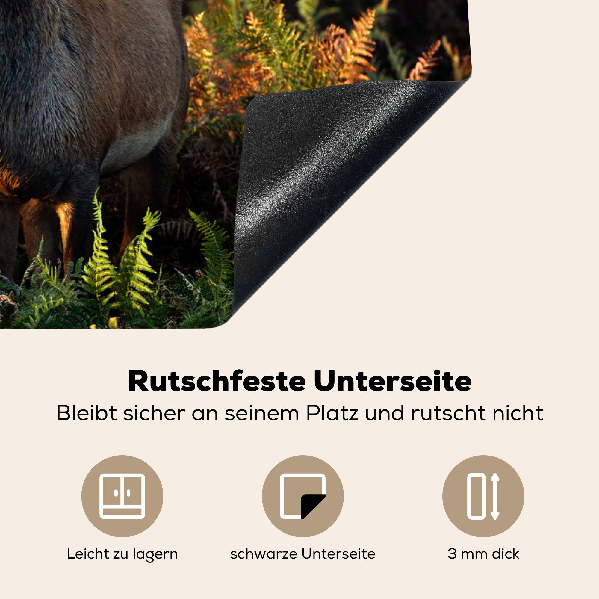 - (1 küche, Nebel, Induktionskochfeld die Ceranfeldabdeckung Rehe für Schutz 81x52 Vinyl, Pflanzen cm, MuchoWow - tlg), Herdblende-/Abdeckplatte