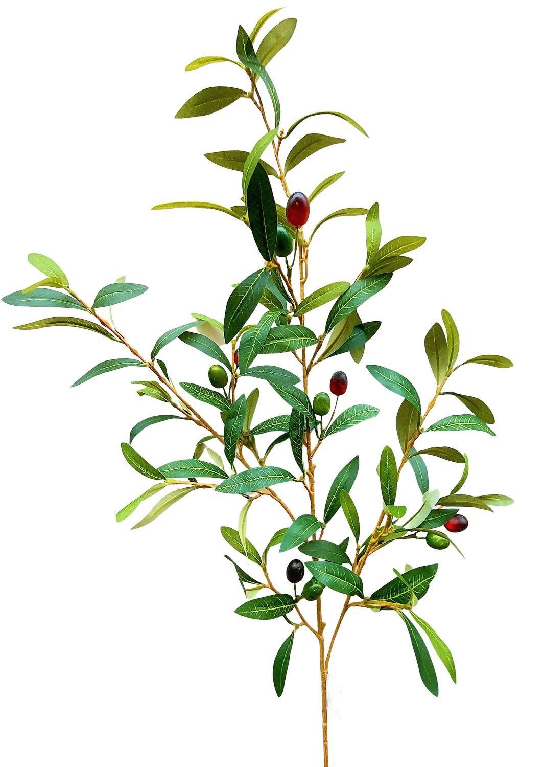 Kunstzweig Kunst Olivenzweig ROVUMA mit Früchten, grün, 95cm Olivenbaum, artplants, Höhe 95.0 cm