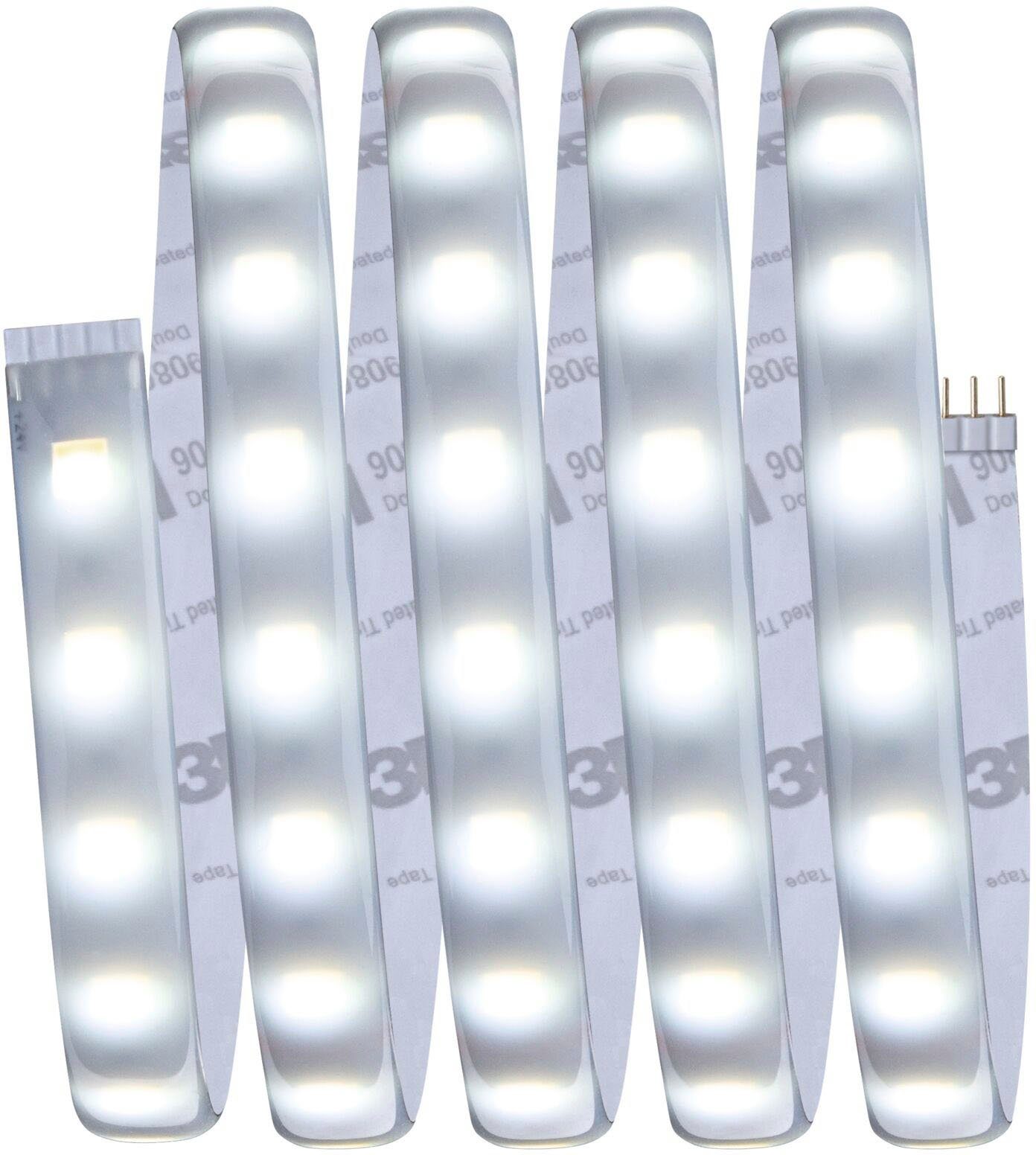 White, Home Basisset 1-flammig, Paulmann MaxLED Smart beschichtet LED-Streifen 500 Tunable 1,5m, Zigbee,