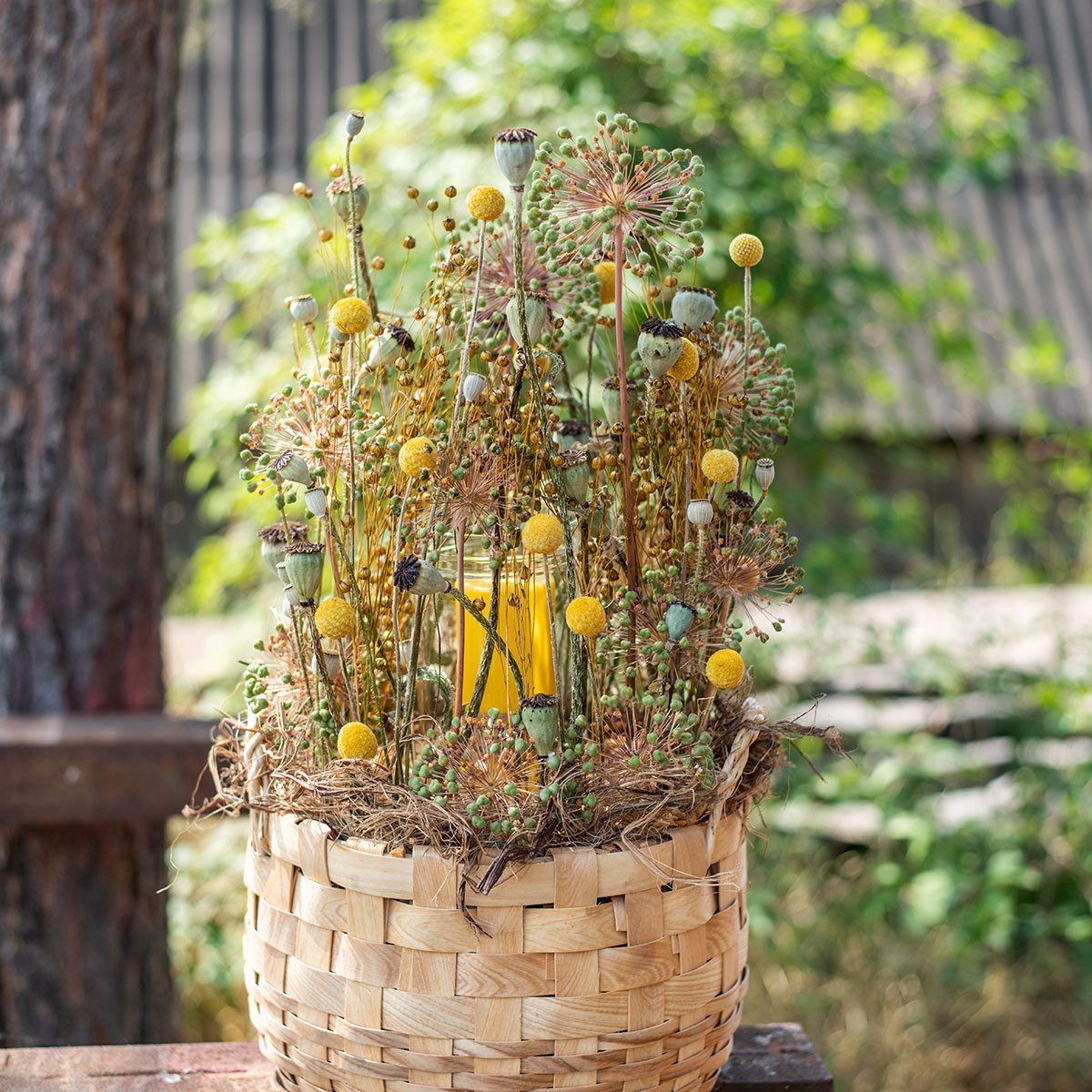 Trockenblume Craspedia Trockenblumen Gelb 70cm Deko günstig online kaufen