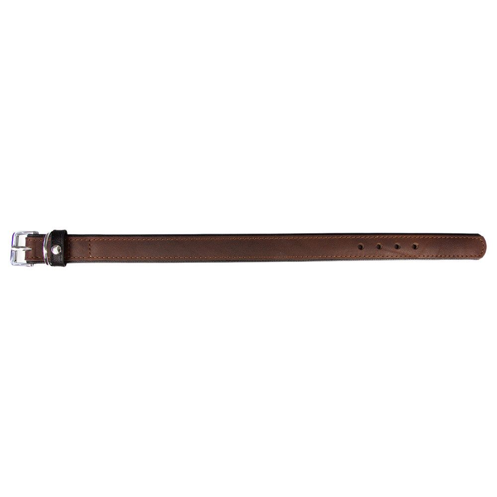 Das Lederband Hunde-Halsband Hundehalsband Vancouver Mocca/Black