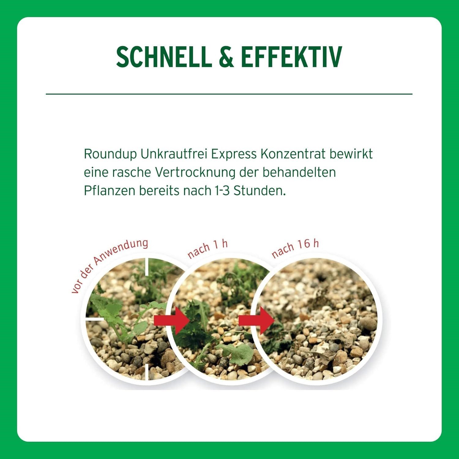 ROUNDUP Unkrautbekämpfungsmittel Roundup Express Unkrautfrei Sprühsystem 3 Liter Anwendungsfertig