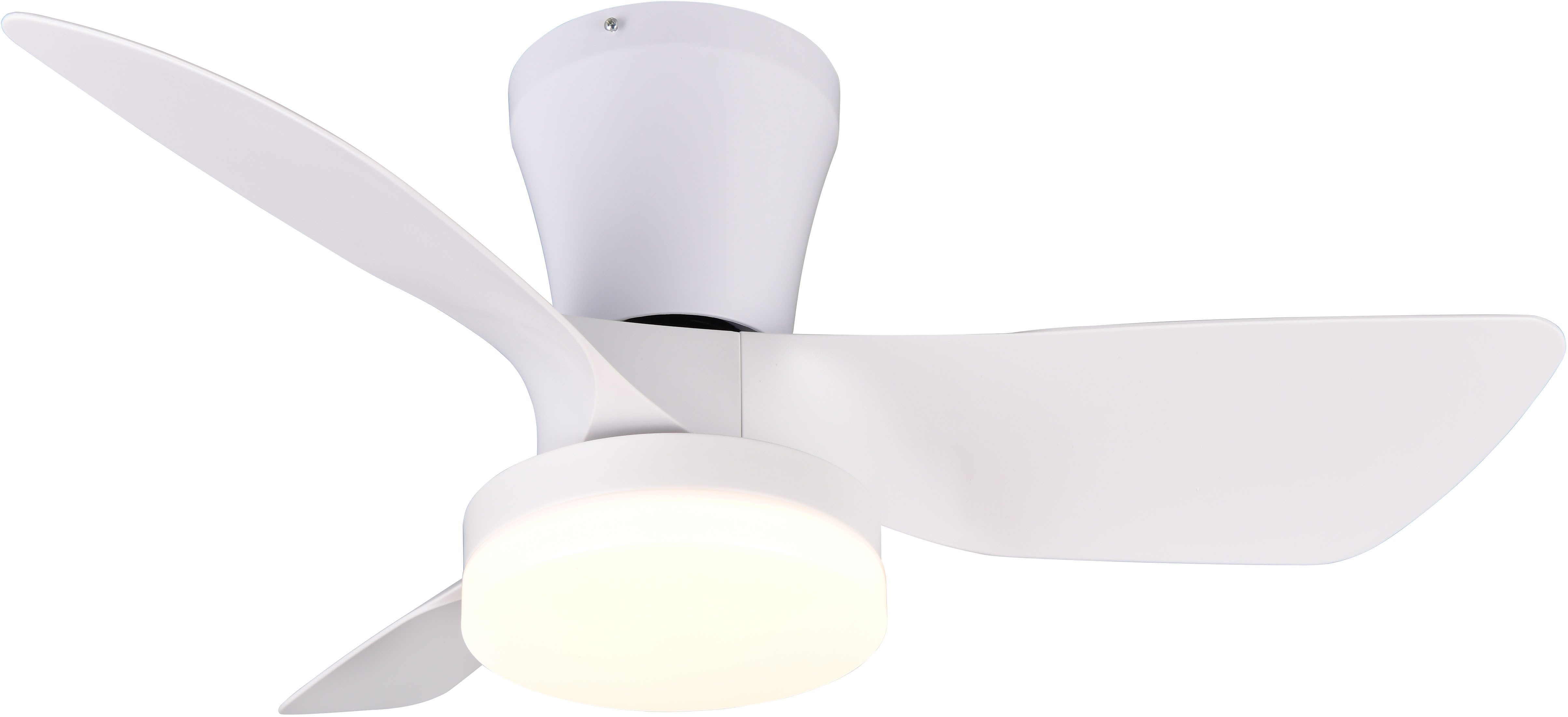 Reality Leuchten LED Deckenleuchte RANDERS mit günstig online kaufen
