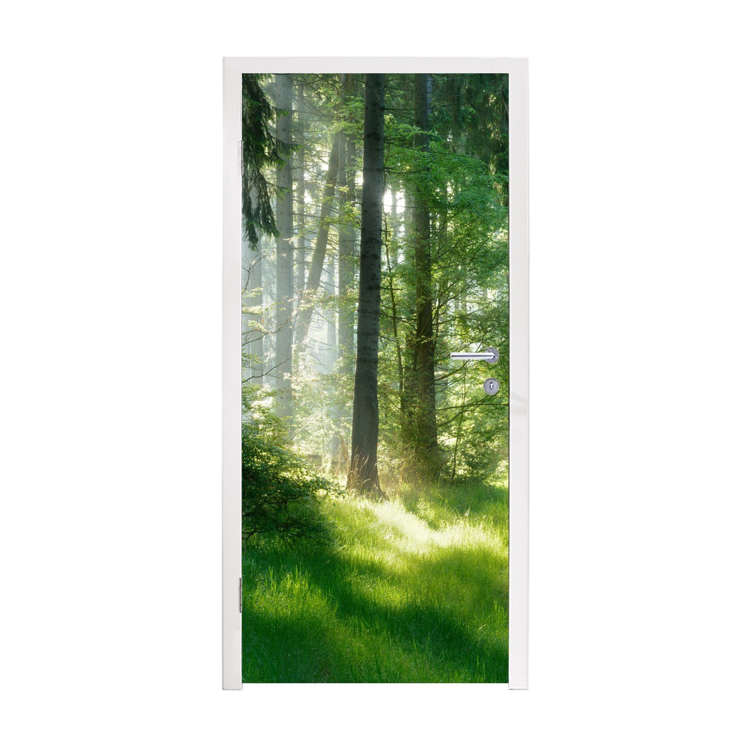 MuchoWow Türtapete Natur - Bäume - Wald - Grün - Sonne - Gras - Pflanzen, Matt, bedruckt, (1 St), Fototapete für Tür, Türaufkleber, 75x205 cm