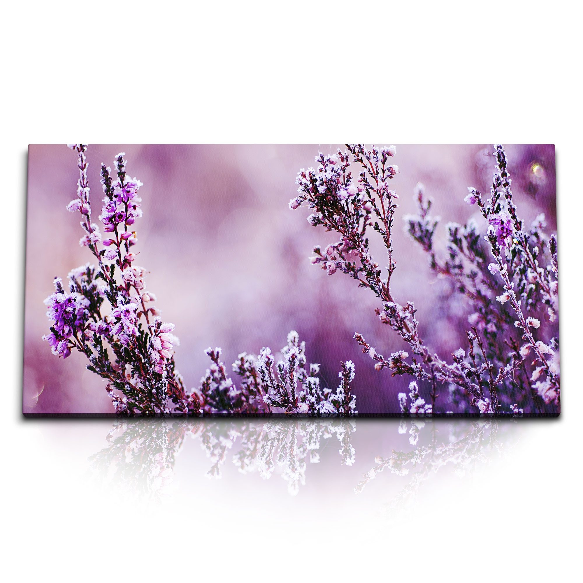 Leinwandbild Kunstdruck Bilder 120x60cm Frost Pflanzen Winter Winterfrost Natur