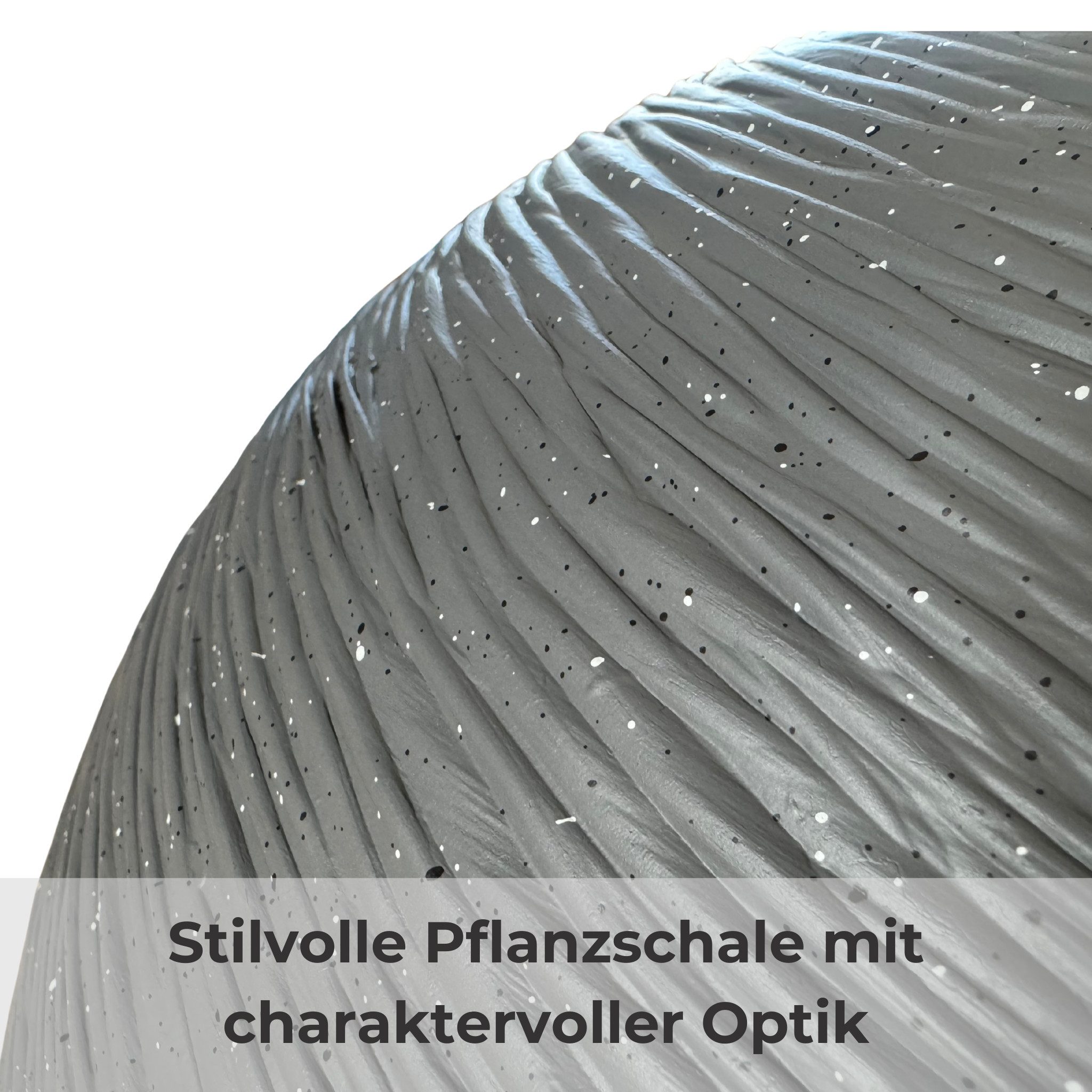 matches21 HOME & HOBBY Wasserspiel Solar-Brunnen Set für draußen - 45 x 23 cm Schale grau, (1 tlg), Wasser-Fontäne als Solar Spring-Brunnen Garten-Deko Vogeltränke