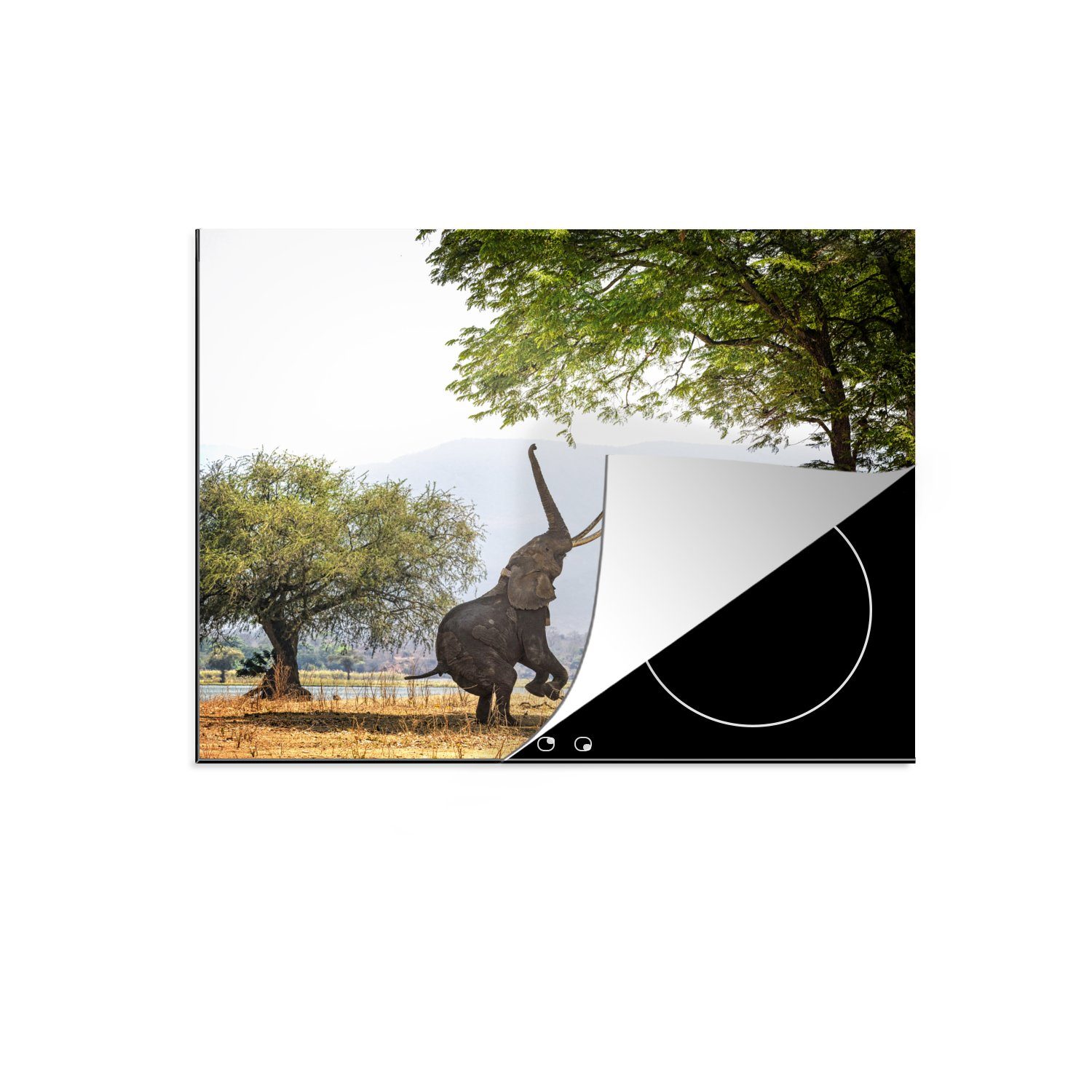 Ceranfeldabdeckung tlg), in cm, Vinyl, 60x52 (1 Herdblende-/Abdeckplatte erreichen, MuchoWow Elefanten Arbeitsfläche nutzbar, Simbabwe Mobile
