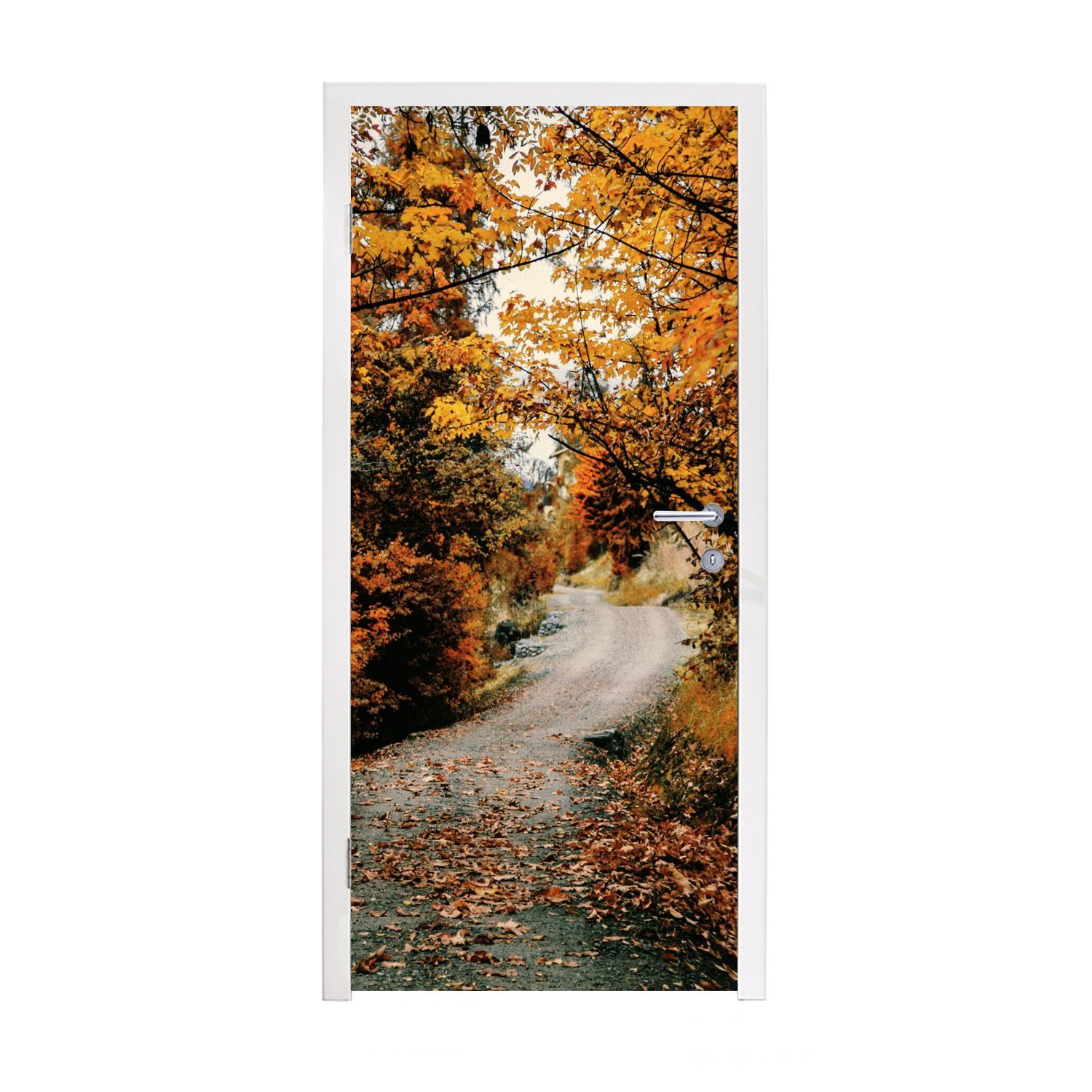 MuchoWow Türtapete Herbstwald - Weg - Laub - Ländlich, Matt, bedruckt, (1 St), Fototapete für Tür, Türaufkleber, 75x205 cm