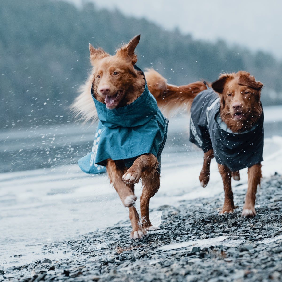 HURTTA Hunderegenmantel Monsoon Regenmantel blau