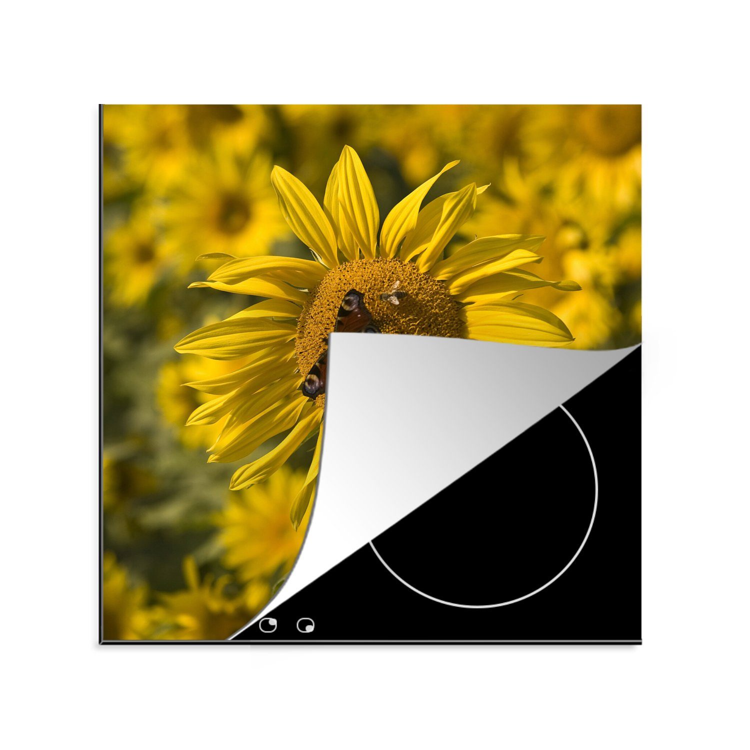 MuchoWow Herdblende-/Abdeckplatte Tagpfauenauge Schmetterling auf einer Sonnenblume, Vinyl, (1 tlg), 78x78 cm, Ceranfeldabdeckung, Arbeitsplatte für küche