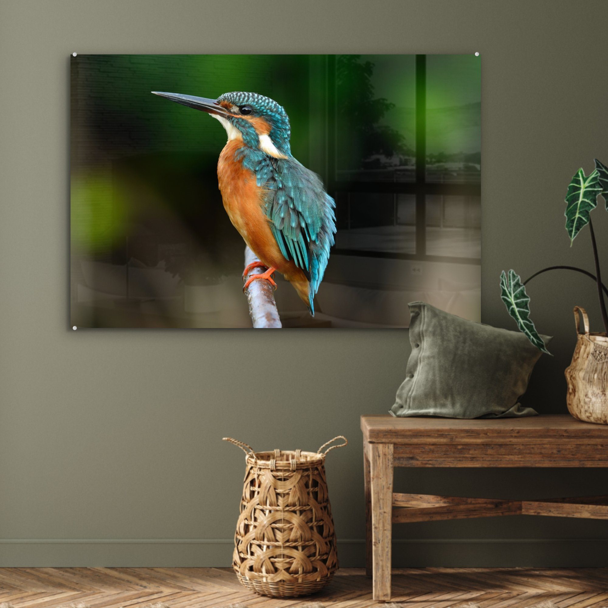 - Schlafzimmer Park, Acrylglasbilder - & Zweige Wohnzimmer Acrylglasbild MuchoWow St), (1 Eisvogel