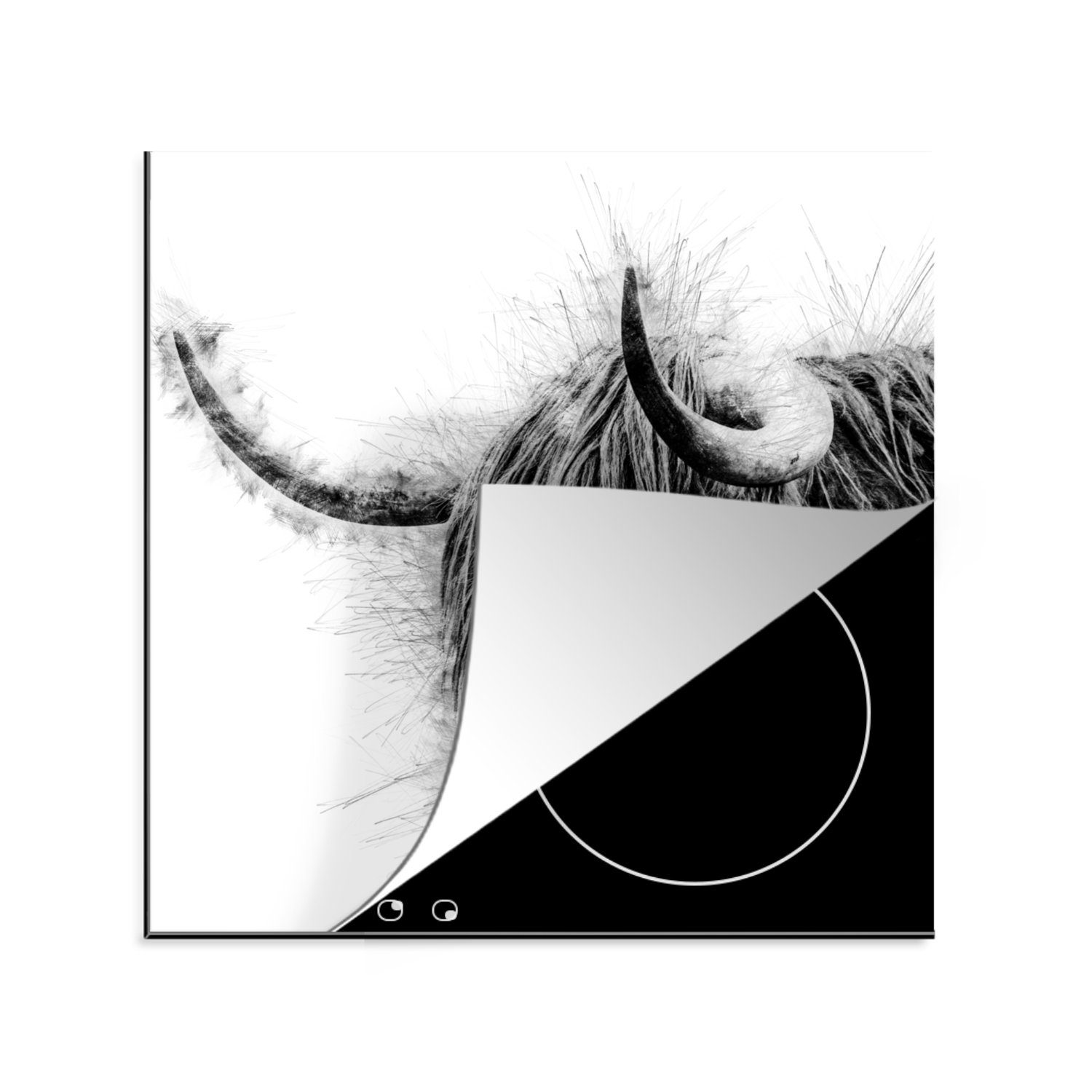 MuchoWow Herdblende-/Abdeckplatte Porträt Schottischer Highlander - Schwarz und Weiß, Vinyl, (1 tlg), 78x78 cm, Ceranfeldabdeckung, Arbeitsplatte für küche