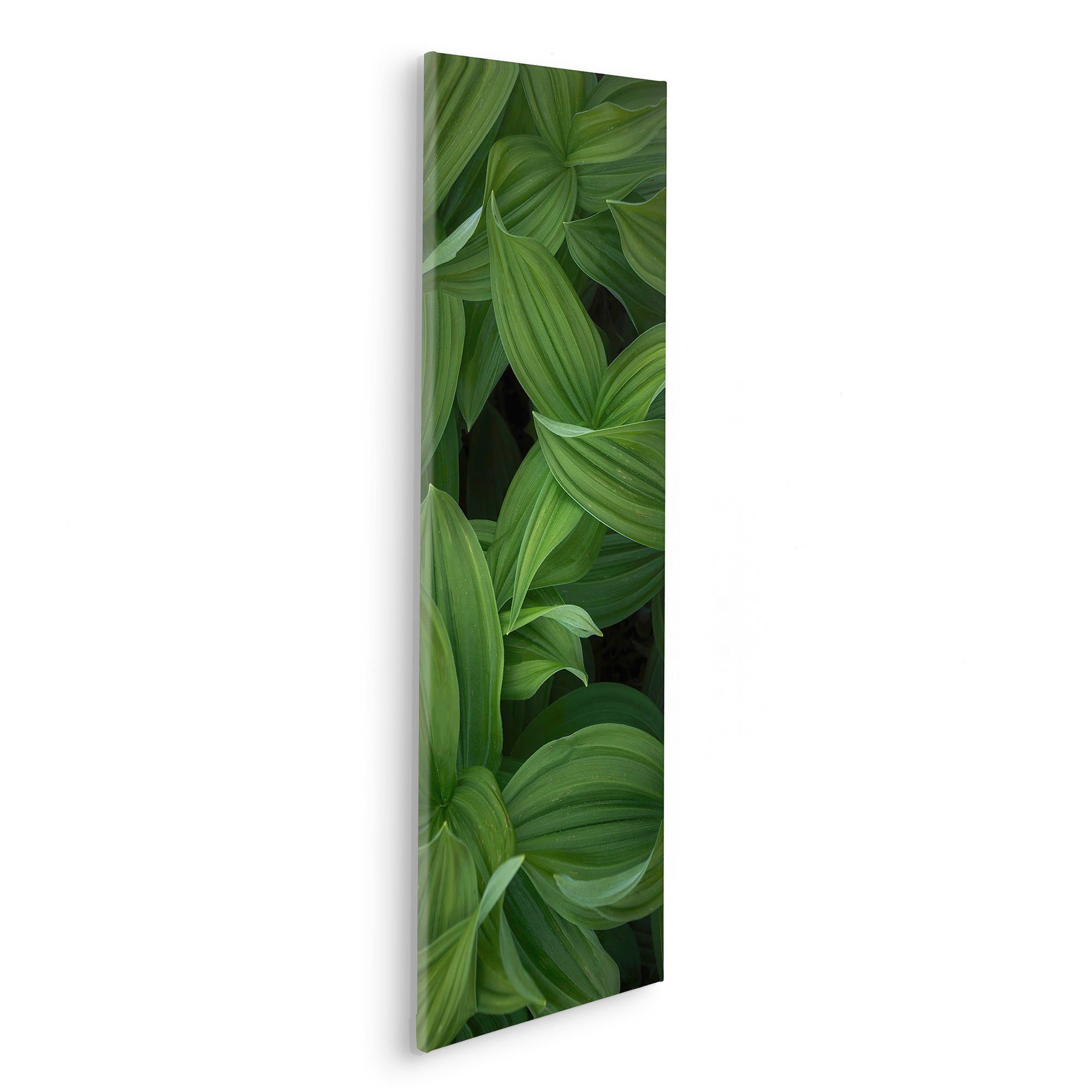 Komar Leinwandbild Ancilla - Größe 30 x 90 cm, Natur (1 St), Keilrahmenbild günstig online kaufen