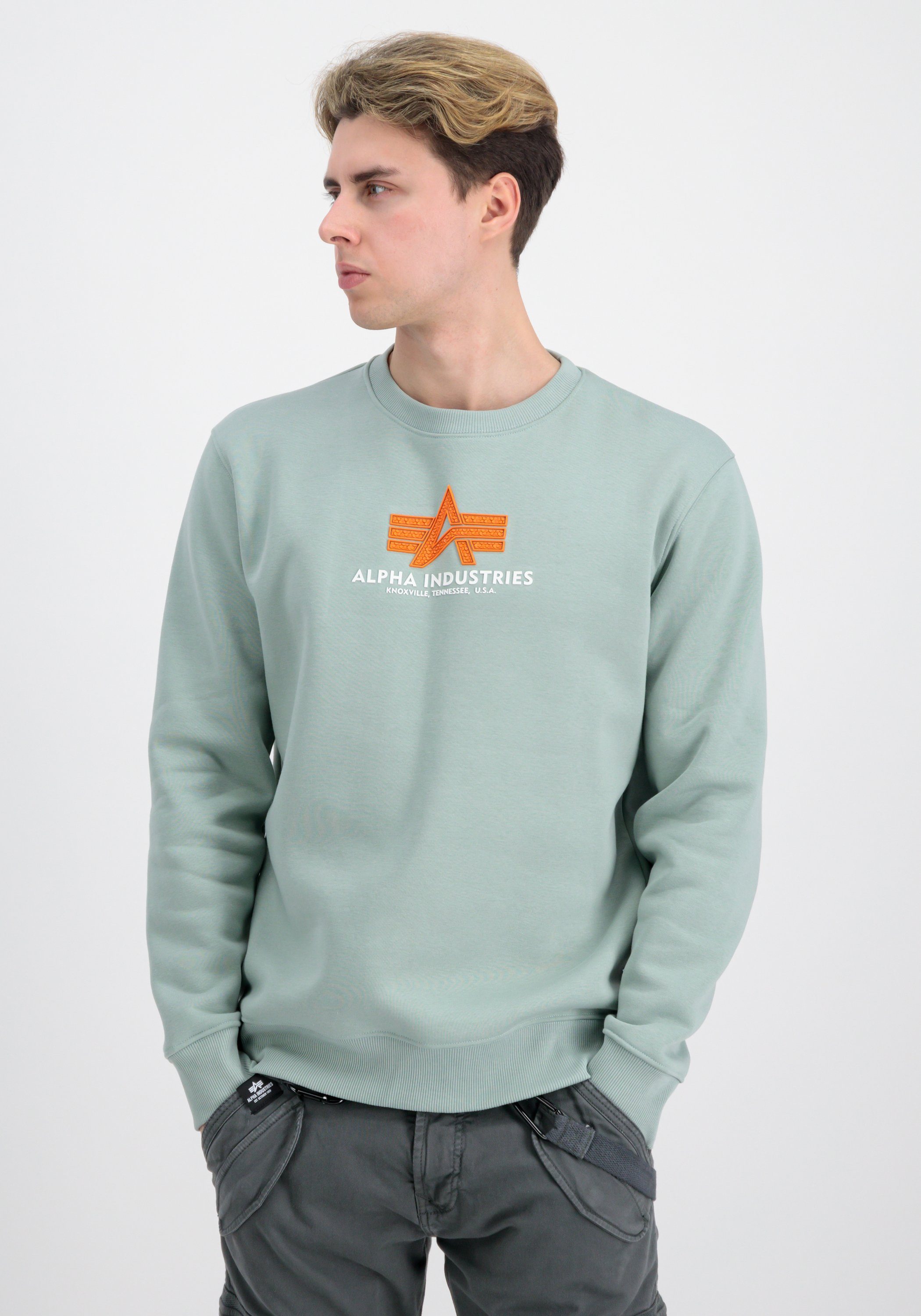 Alpha Industries Sweater Alpha Industries Men - Sweatshirts Basic Sweater Rubber dusty green