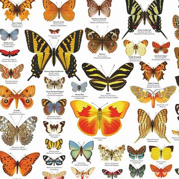 Close Up Poster Schmetterlinge der Welt Poster deutsch DIN A1 84,1 x 59,4 cm