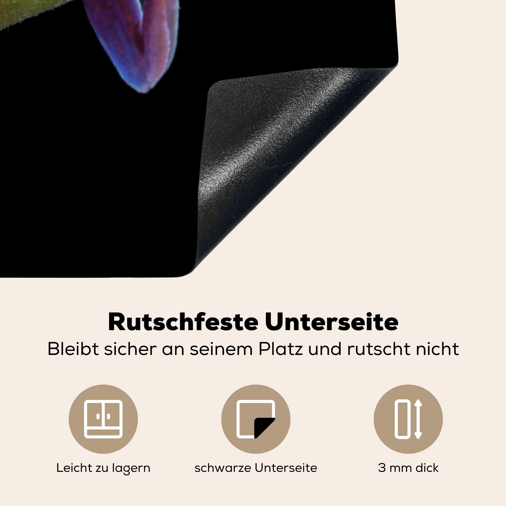 MuchoWow Herdblende-/Abdeckplatte Frosch - Schutz Pflanze küche, (1 die - Ceranfeldabdeckung Schwarz, tlg), Vinyl, cm, Induktionskochfeld für 81x52
