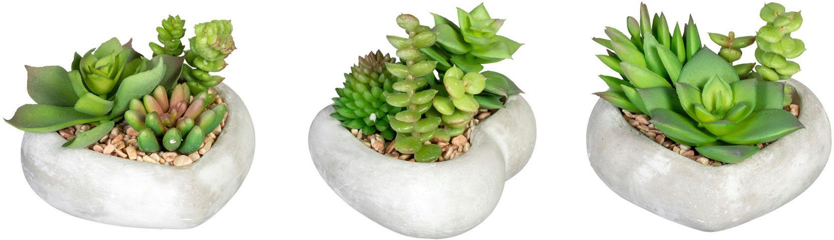 Künstliche Zimmerpflanze Sukkulentenarrangement Sukkulente, in cm, Zementschale, 3er green, 7 Set Höhe Creativ