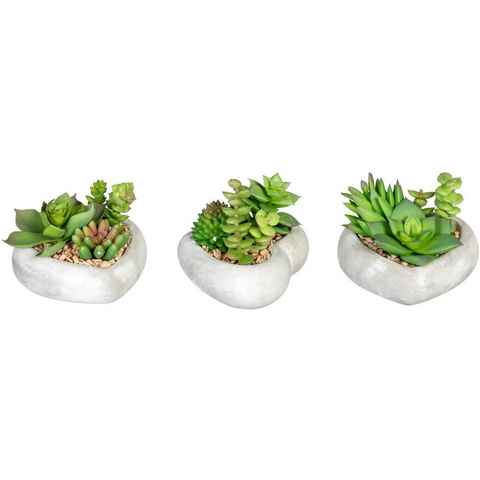 Künstliche Zimmerpflanze Sukkulentenarrangement Sukkulente, Creativ green, Höhe 7 cm, in Zementschale, 3er Set