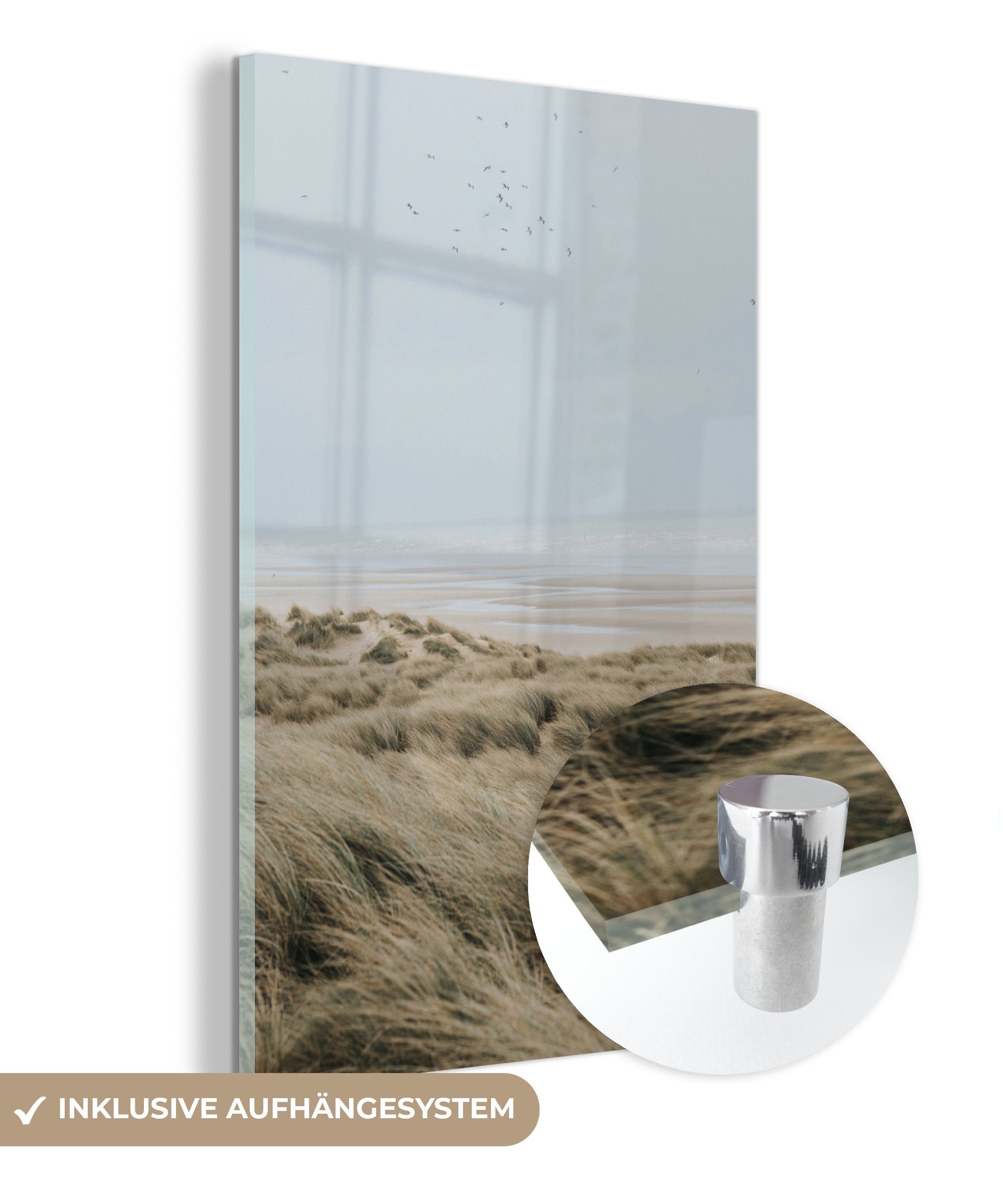 auf - Wanddekoration Glas MuchoWow Acrylglasbild St), Bilder Glas - Vogel, auf (1 Strand Glasbilder - Foto Wandbild - Düne -