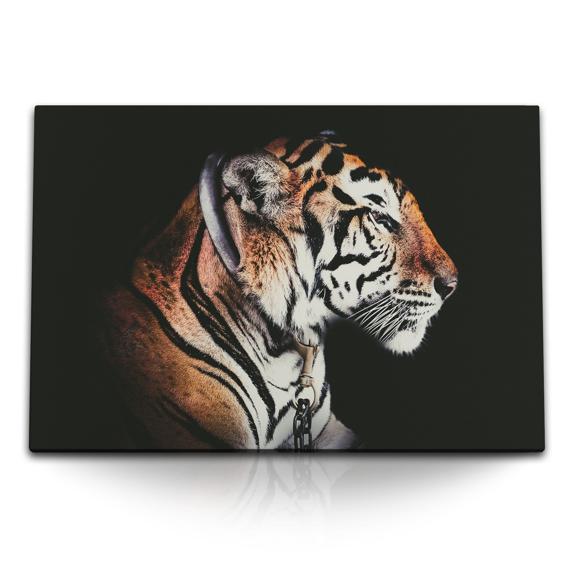 Leinwandbild 120x80cm Wandbild auf Leinwand Tiger Raubkatze Raubtier Tierfotografie