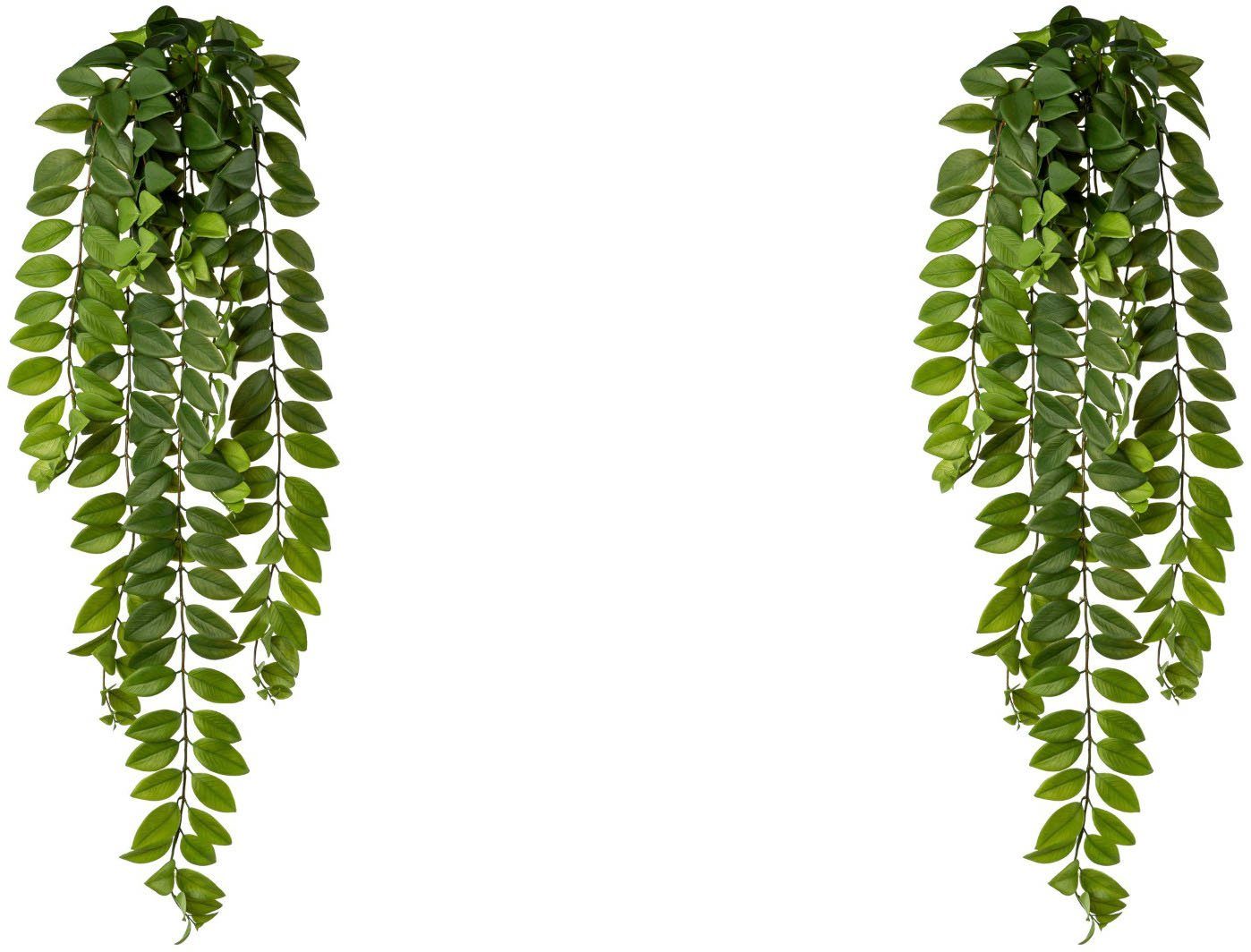 Kunstranke Columnearanke, Creativ green, Höhe 85 cm, künstliche Ranke