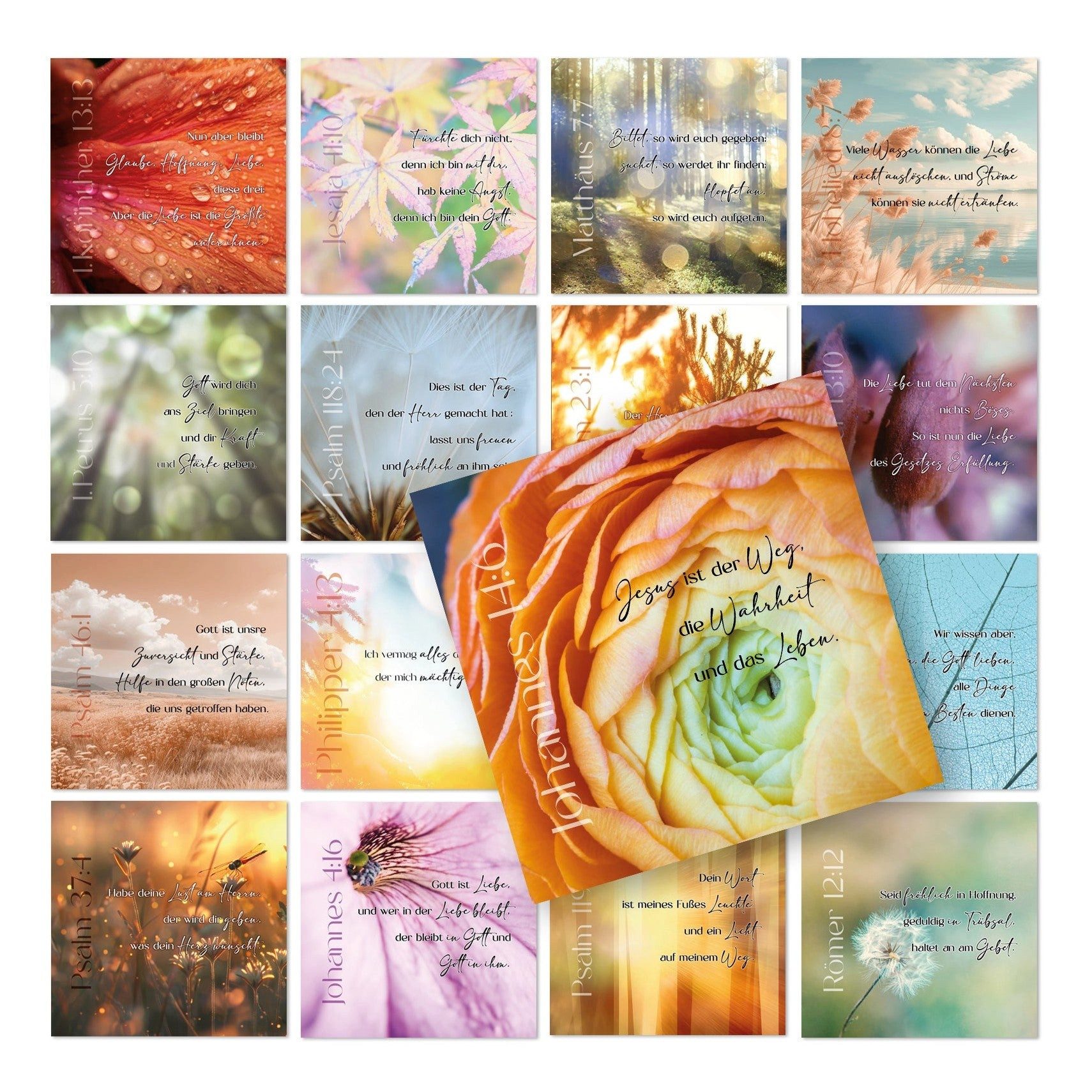 Logbuch-Verlag Dekofigur 16 Postkarten mit Bibelzitaten Geschenk für Gläubige 12 x 12 cm