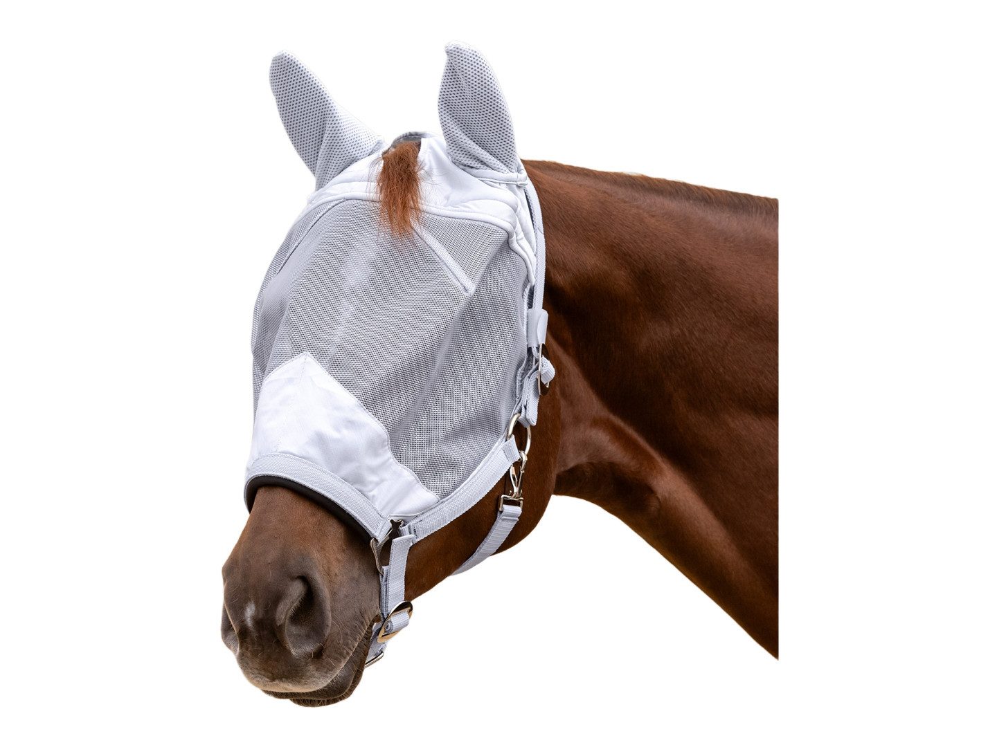 Waldhausen Fliegenmasken Fliegenmaske Premium m. Halfter, mit Ohrenschutz