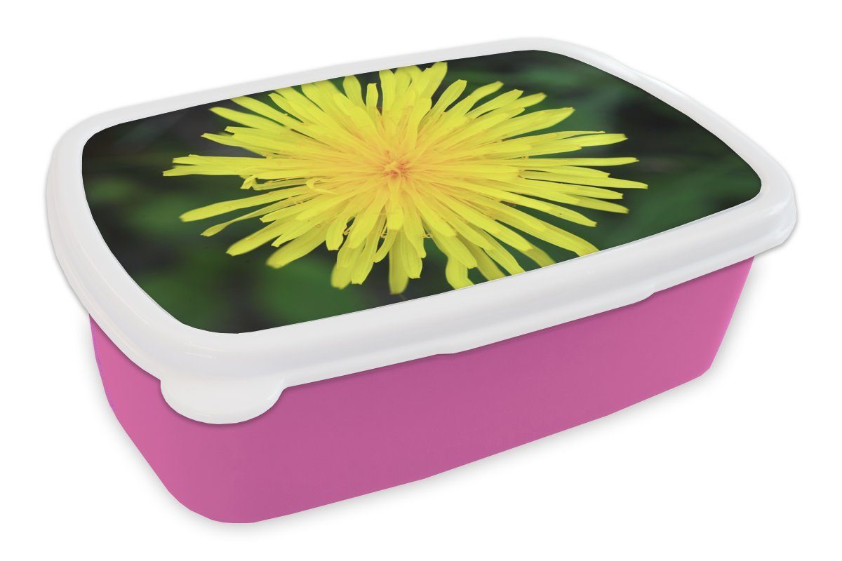 MuchoWow Lunchbox Makro - Sonnenblume Mädchen, Brotdose (2-tlg), Erwachsene, Kunststoff, rosa Brotbox Gelb, Kunststoff - für Kinder, Snackbox