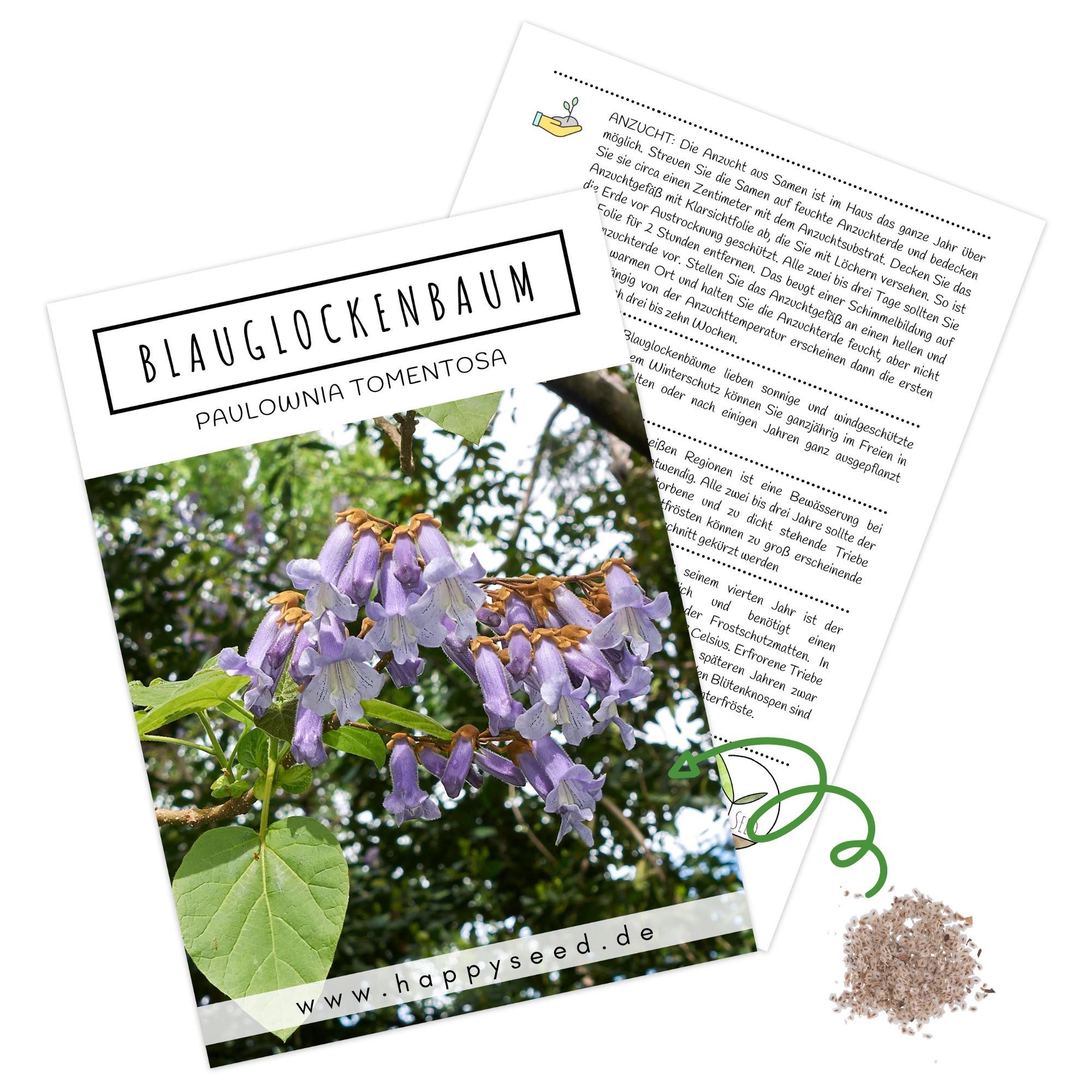 HappySeed Blumensamen Blauglockenbaum Kiribaum Samen (Paulownia tomentosa) -Schnell wachsend, schnell wachsend
