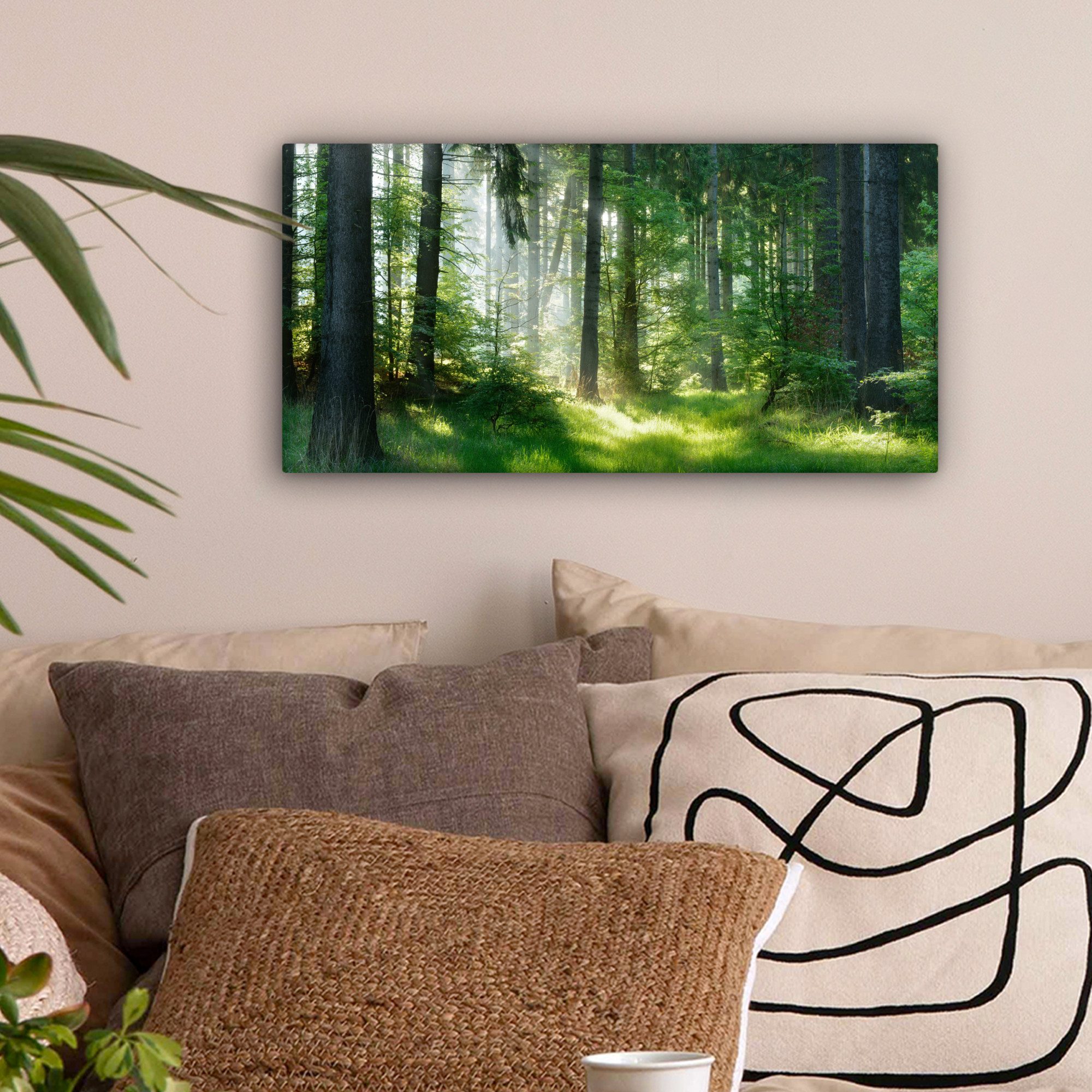 OneMillionCanvasses® Leinwandbild Panorama Natur - Bäume - Wald - Grün - So günstig online kaufen
