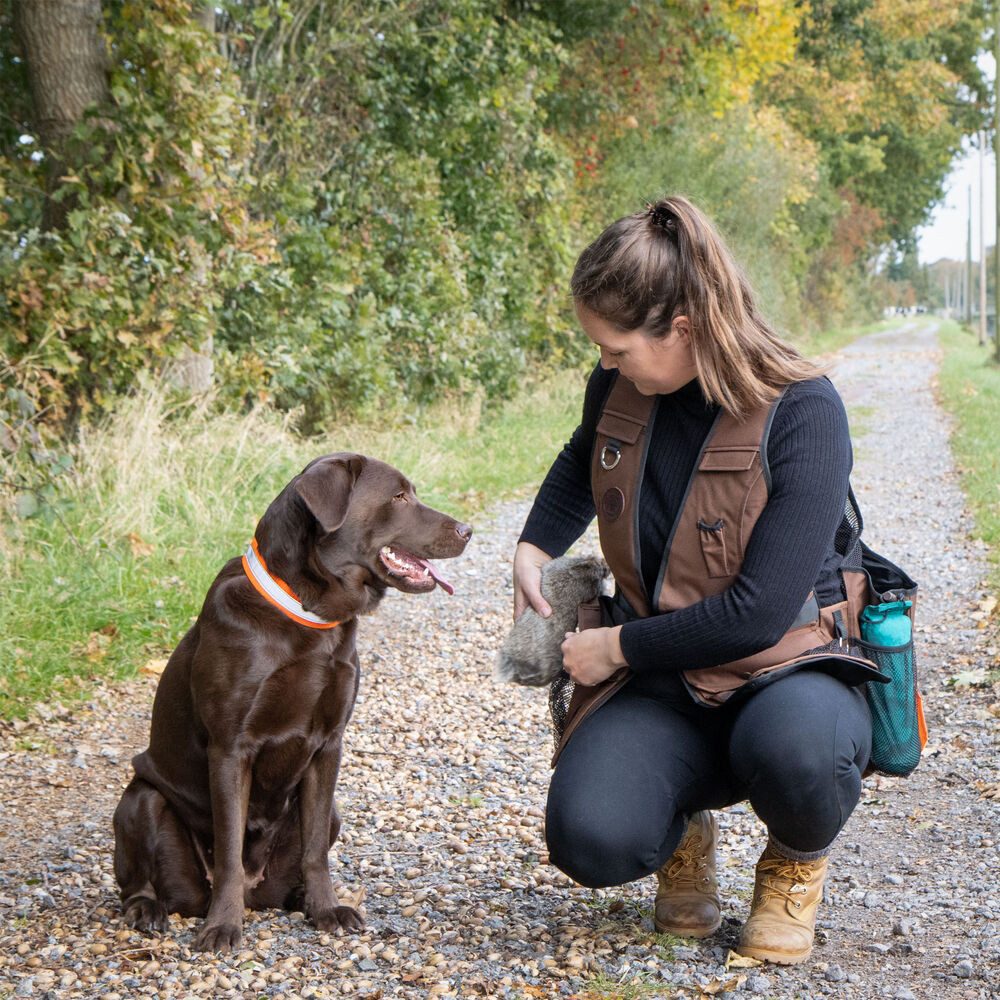 Mystique Funktionsweste Mystique® Dummy Weste Profi Cool - Hundeausbildung (1-tlg) Das gewisse Extra der Dummyweste Profi cool für den Sommer