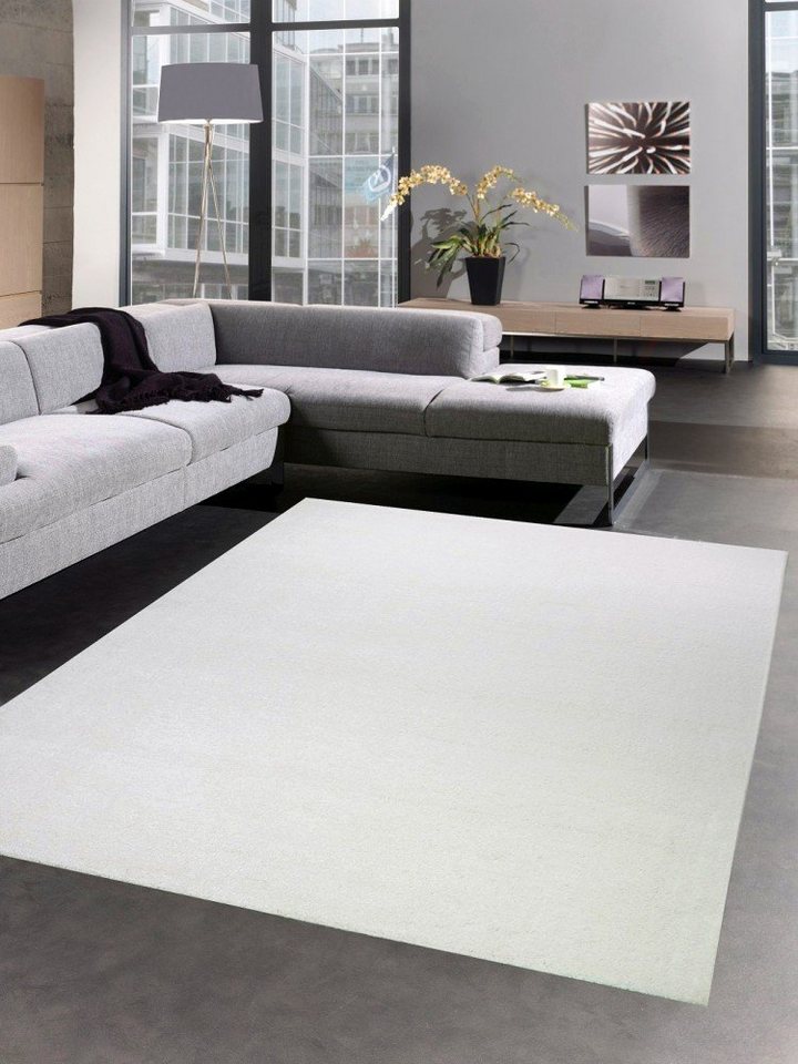 Teppich Moderner Teppich Wohnzimmerteppich uni einfarbig creme, Carpetia,  rechteckig, Höhe: 17 mm