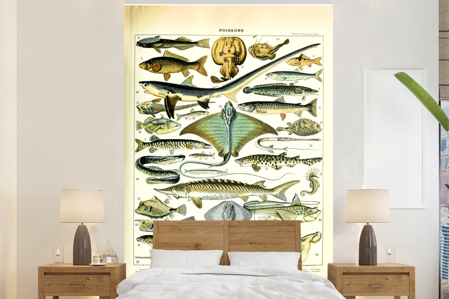 MuchoWow Fototapete Fische - Meerestiere - Tiere, Matt, bedruckt, (3 St), Montagefertig Vinyl Tapete für Wohnzimmer, Wandtapete